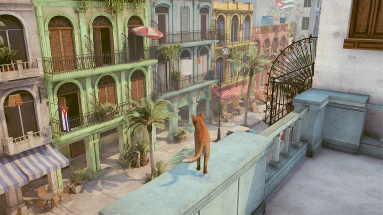 Little Strays: Beyond Havana Image
