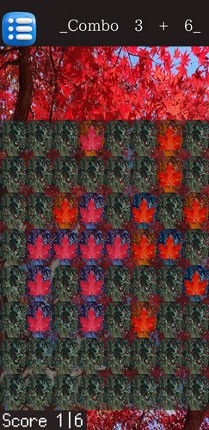P3T Image
