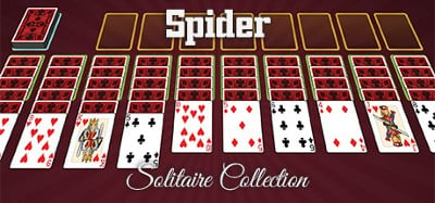 Spider Solitaire Collection Image