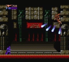 Batman: The Video Game Image