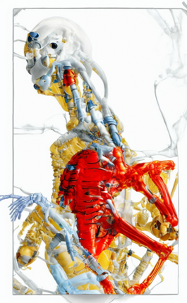 Cyborg TAROT screenshot