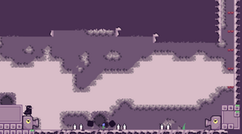 Crow Story Image