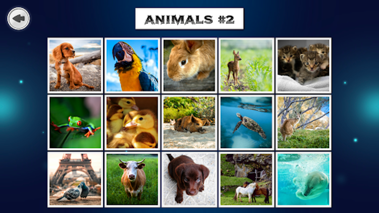 IMAGEine Premium screenshot