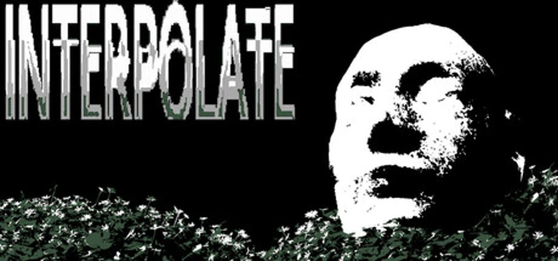 Interpolate Image