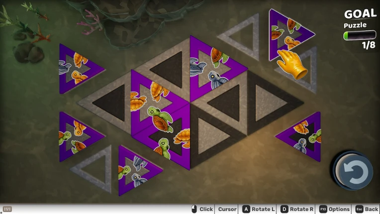 Hidden Turtle Puzzle Image