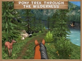 Pony Trails Image