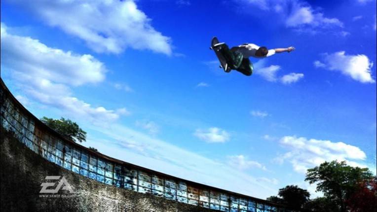 Skate Image
