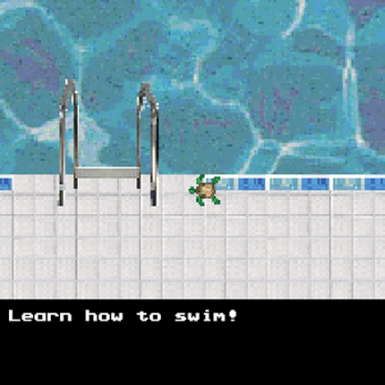 Turtle Simulator: Aquatic Edition Image