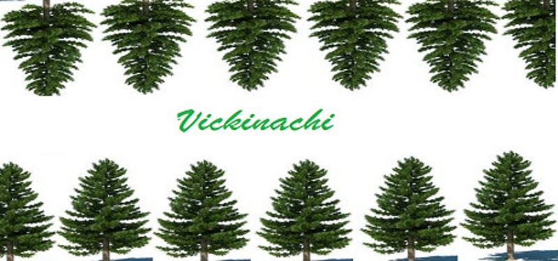 Vickinachi Game Cover