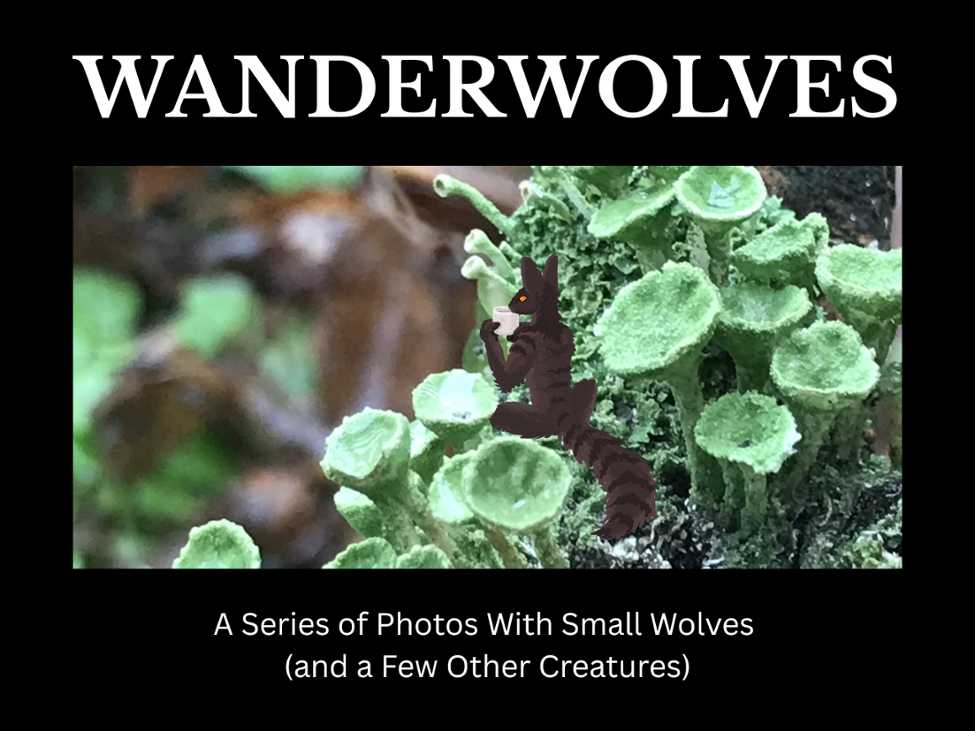 Games like Wanderwolves