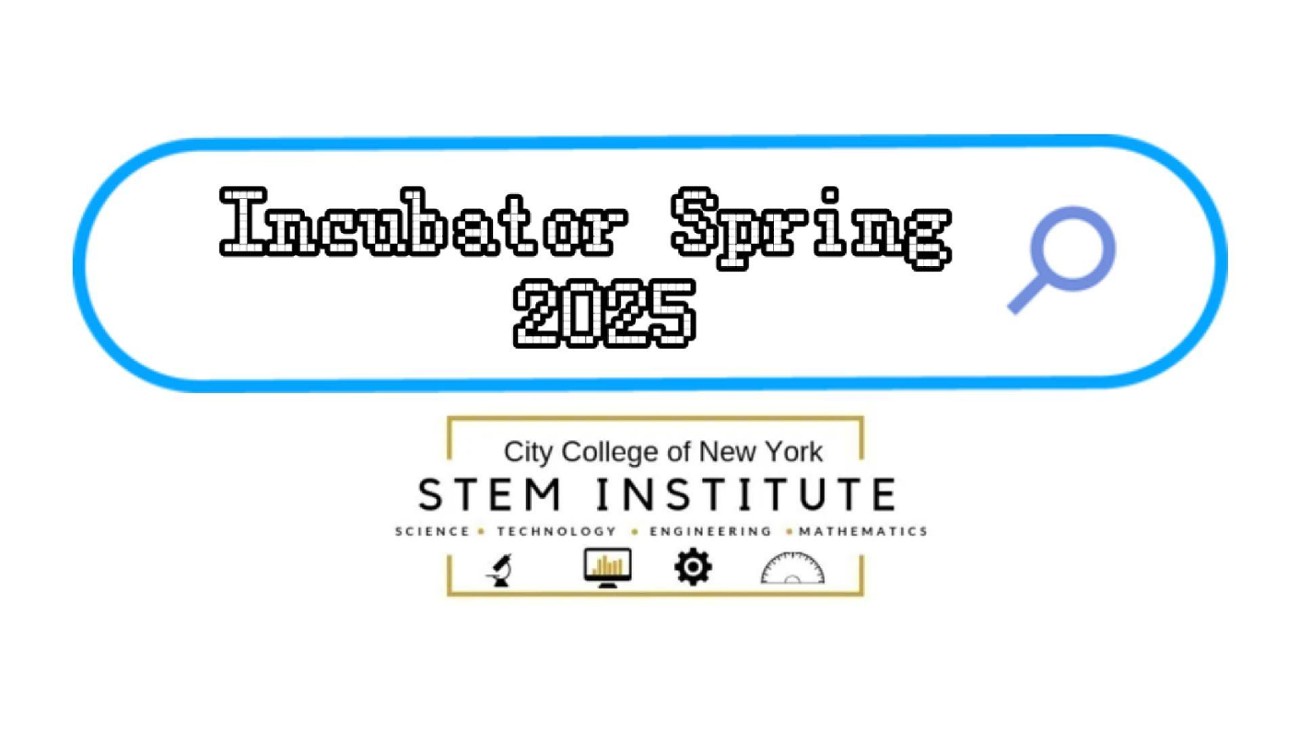 Games like CCNY STEM Institute Incubator Spring 2025
