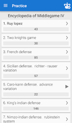 Chess Middlegame IV Image