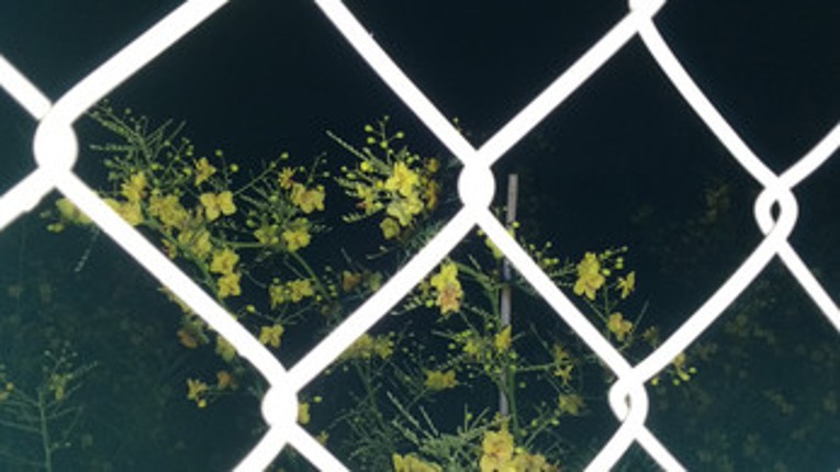 Silent Synthesis - Dream Ritual Image