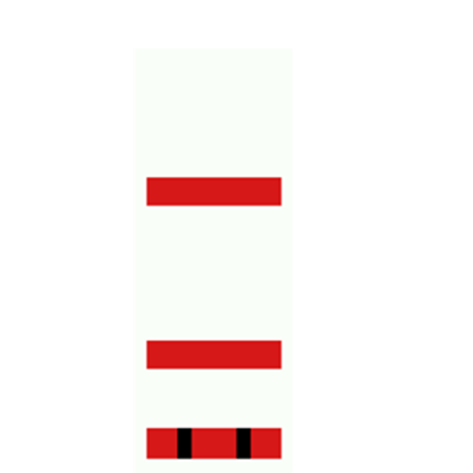 Gran Torino Racer II Image