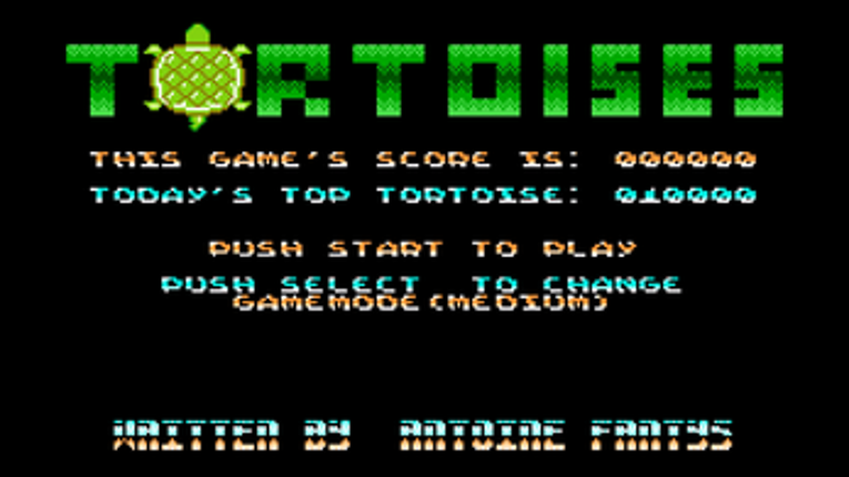 Tortoises for the Game Boy Advance screenshot