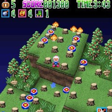 Bomberman 3D Image