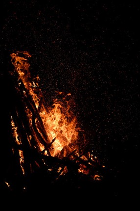 Fleur and the secret garden screenshot