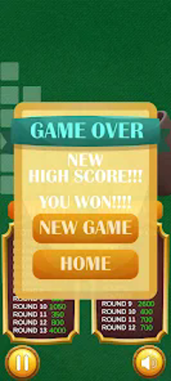 10000 Dice Game Image