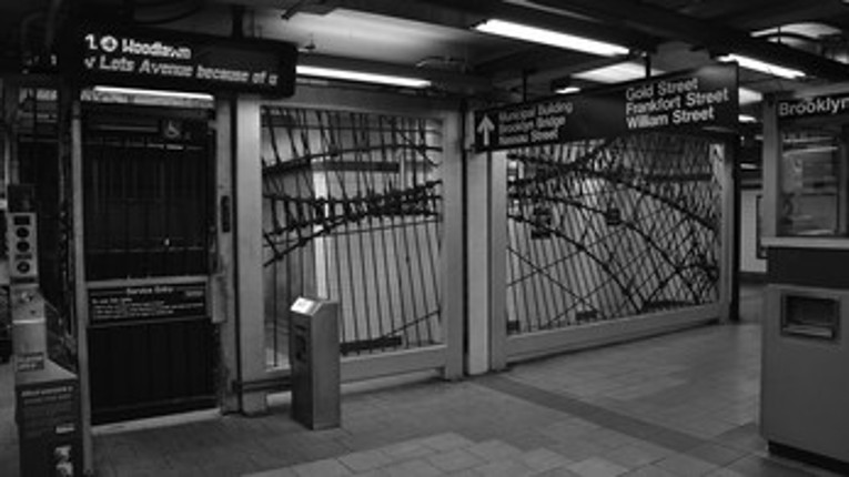 10 Gnomes in New York Image