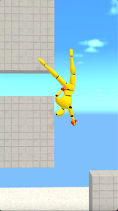 Ragdoll Climbing Image