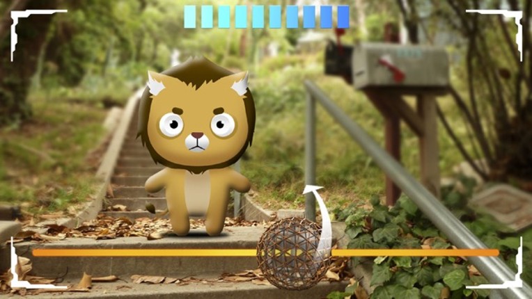Animals Pet Go Image
