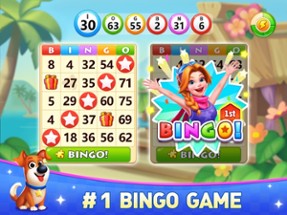 Bingo Vacation - Bingo Games Image