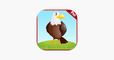 Birds Animal Sounds Kids Games Image