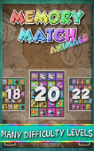 Memory Match Animals Image