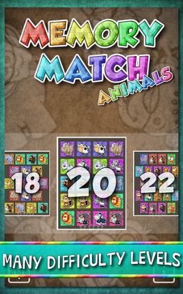 Memory Match Animals Image