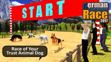 German Shepard Pet Dog Race 2017 Image