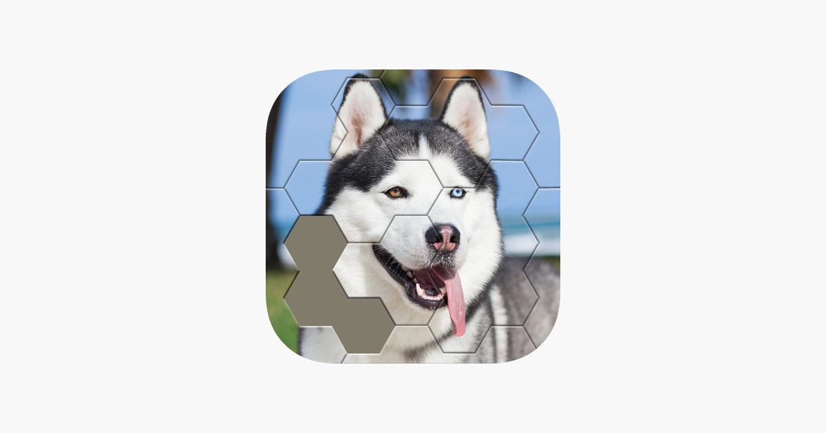 Games like Jigsaw Hexa Block