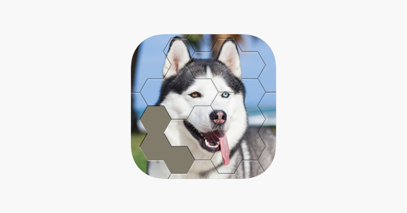 Jigsaw Hexa Block Game Cover