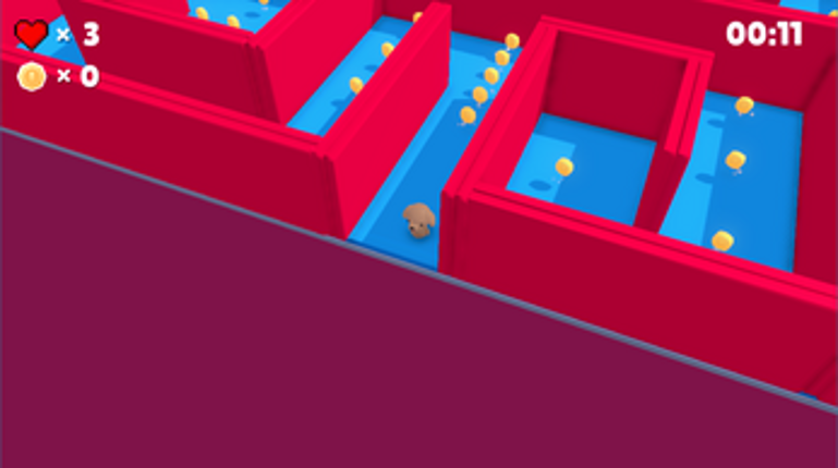 Maze Runner Dog Image