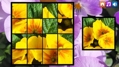 OG Puzzlers: Spring 2K24 Image