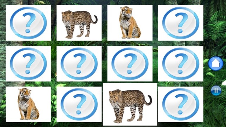 Sounds of Jungle screenshot