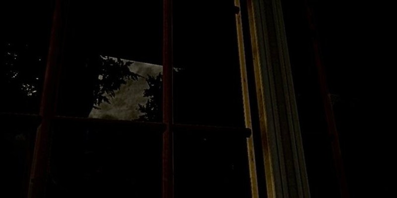 The Obsessive Shadow Image