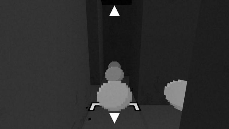 Voluntary Isolation Image