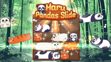 Haru Pandas Slide Image