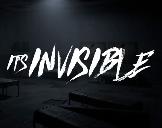 It's Invisible Game Cover