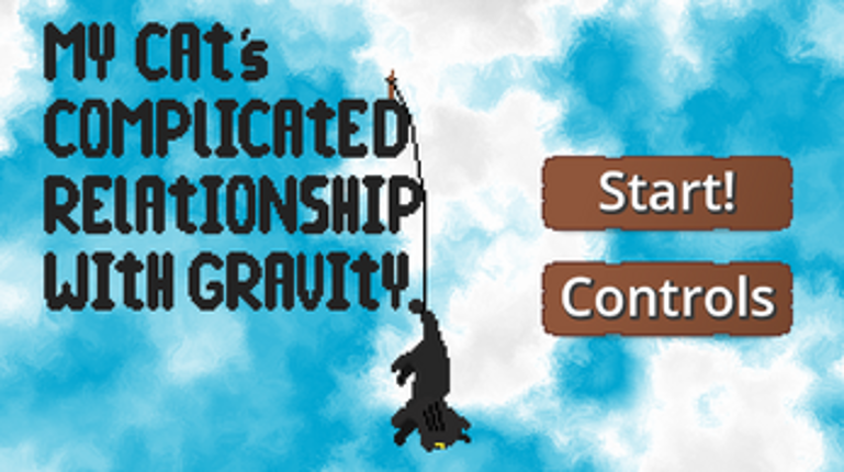 My Cat's Complicated Relationship with Gravity Image