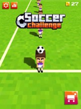 Soccer: Fun Ball Race 3D Image