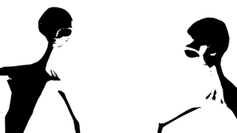 The White Owl Image