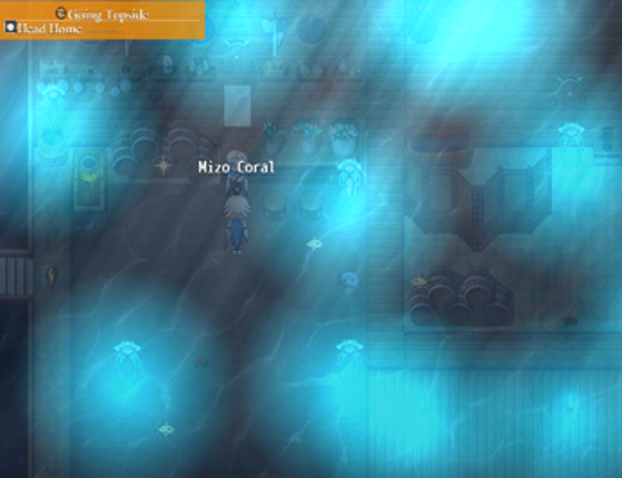 Umi & Mizo's Dryland Odyssey screenshot