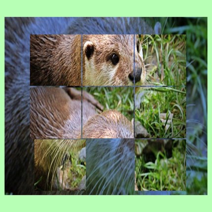 Android APK Puzle de animales bebes crías Random boton generador aleatorio Image