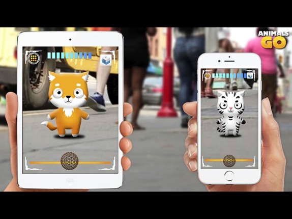 Animals Pet Go Image
