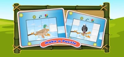 Birds Animal Sounds Kids Games Image