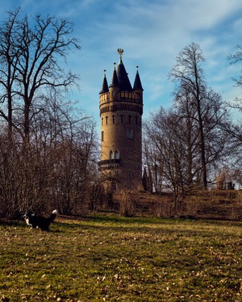 Fleur and the secret garden screenshot