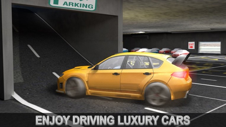 Multi-Level Snow Car Parking Mania 3D Simulator screenshot