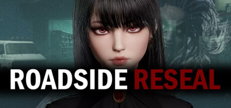 Roadside Reseal Image