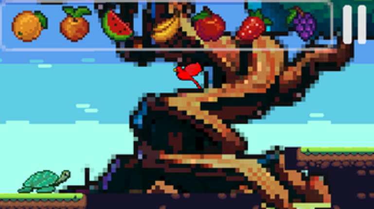 Turtle Journey Image